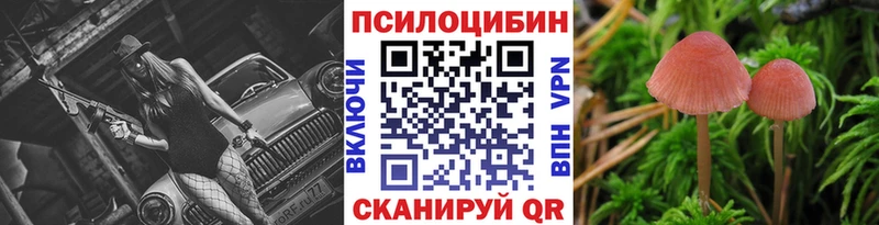 Галлюциногенные грибы MAGIC MUSHROOMS  Купить закладки  Котово 